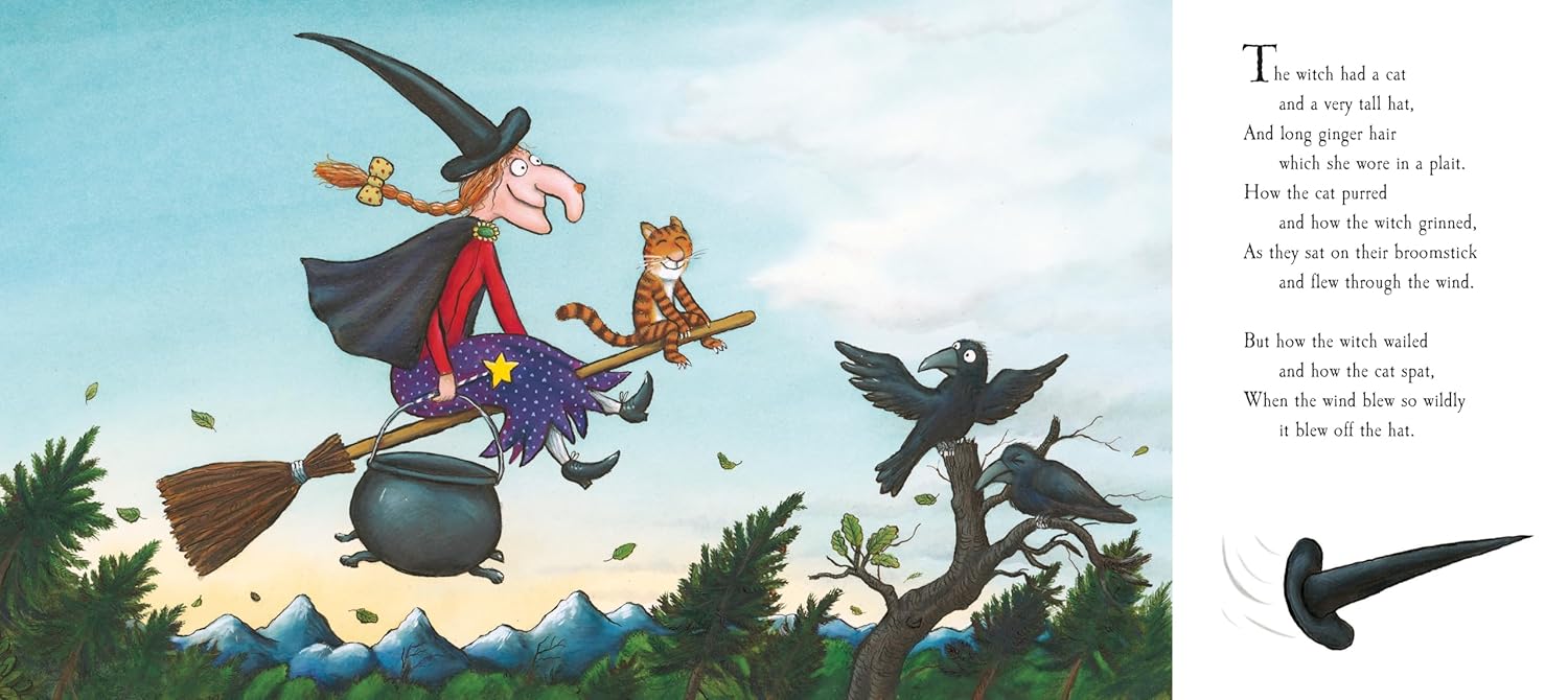 Room on the Broom Julia Donaldson (Author), Axel Scheffler (Illustrator)