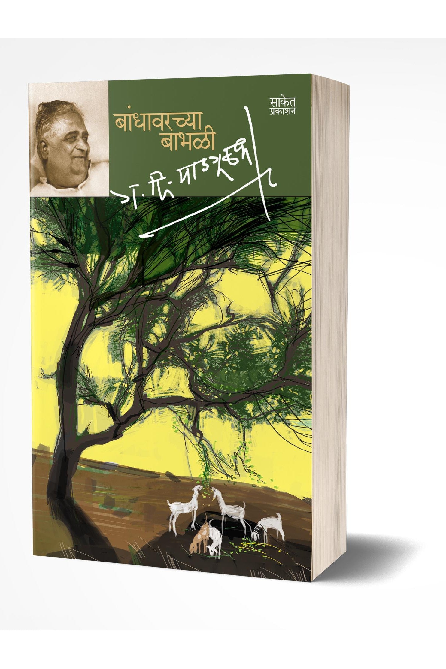 Bandhawarchya Babhali | बांधावरच्या बाभळी by AUTHOR :- G. D. Madgulkar